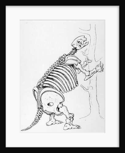Skeleton of a Mylodon by English School
