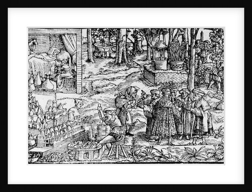Medical Herb Cultivation, 1531 by English School