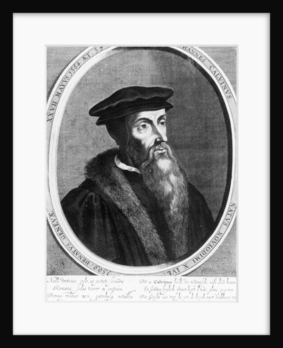 John Calvin by English School