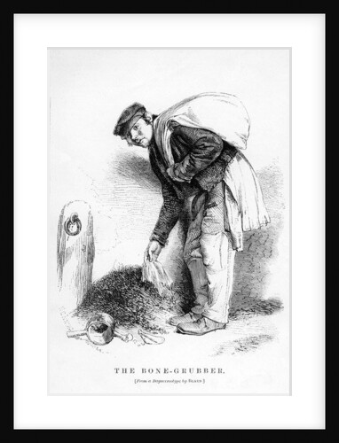 The Bone-Grubber, 1862 by English School