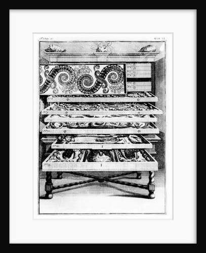Table 6 from 'Elenchus Tabularum' by Levin Vincent 1719 by English School