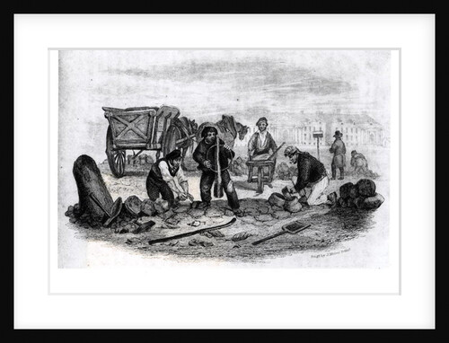 The Pavier by English School