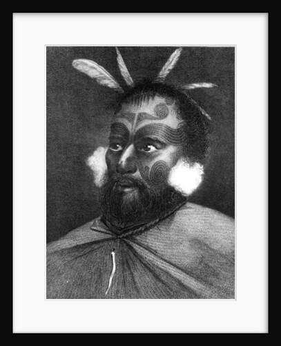 Portrait of a Man of New Zealand by Charles Howard Hodges