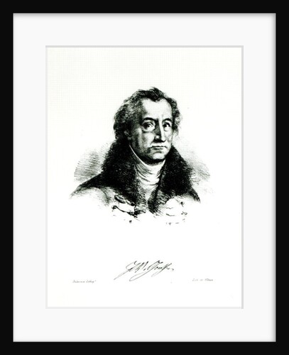 Johann Wolfgang Goethe engraved by Delacroix by (after) Villain