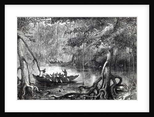 Mangrove Forest', frontispiece illustration from 'Twenty Nine Years in the West Indies and Central Africa' by H.M. Waddell. by English School