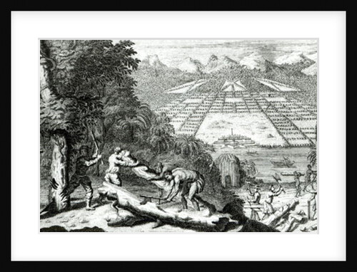 Illustration from 'The Reasons for establishing the Colony of Georgia' by Benjamin Martyn, 1733 by John Pine