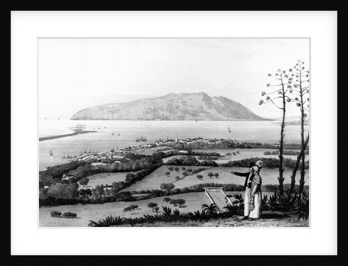 Kingston and Port Royal by James Hakewill