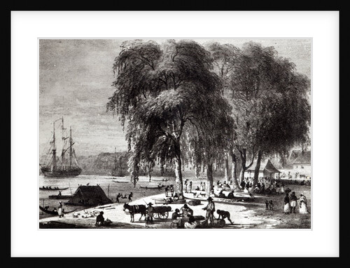 Fish Market, Paramribo by Pierre J. (after) Benoit