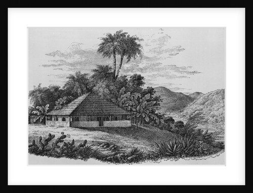 A Planter's House in Brazil by English School