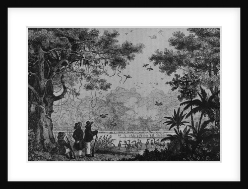 Bird Hunting by French School