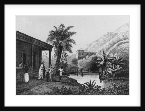 Coffee Plantation by French School