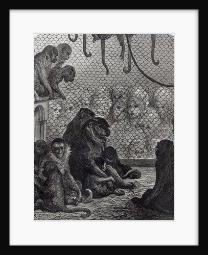 London Monkeys by Gustave Dore