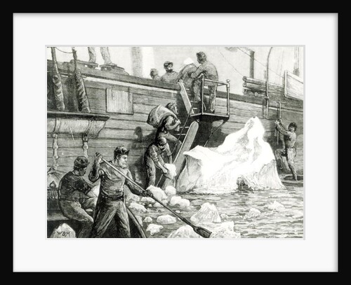 The Arctic Expedition Watering from an Iceberg by English School