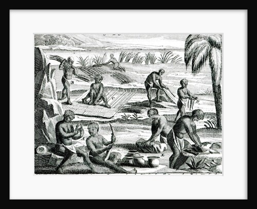 Hottentots by Dutch School