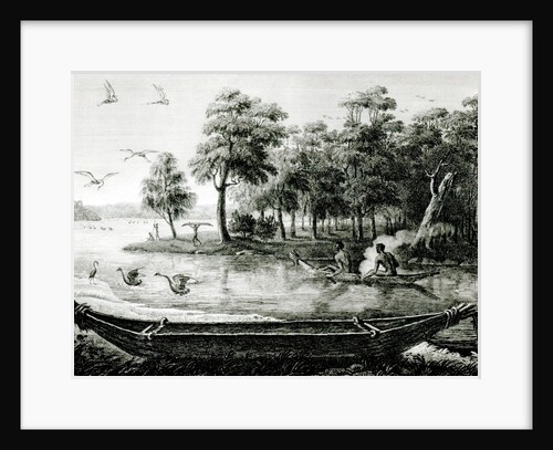 New Holland: New South Wales by Charles Alexandre Lesueur