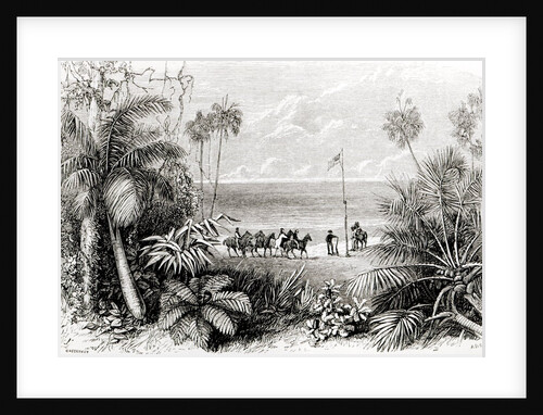 Planting the Flag on the Shores of the Indian Ocean by English School