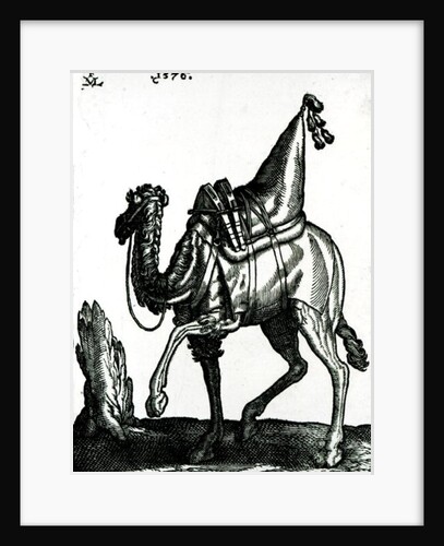 Camel by Melchior Lorck