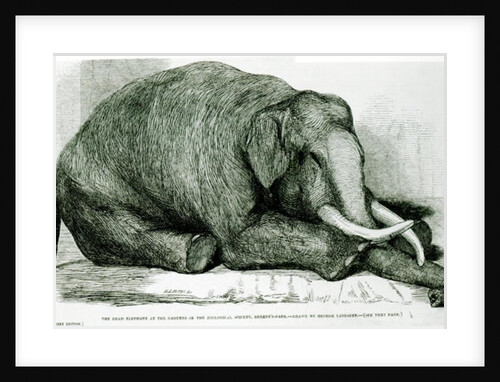 The Dead Elephant at the Gardens of the Zoological Society, Regents Park by George Landseer