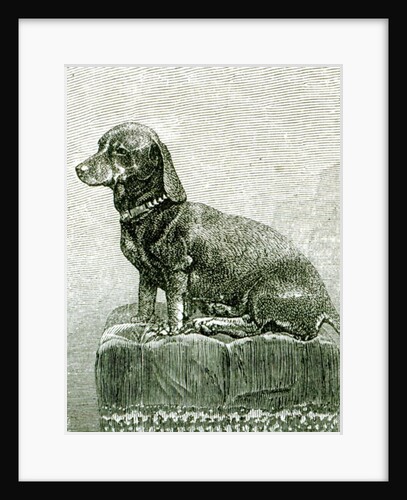 The Dog Jacob by English School