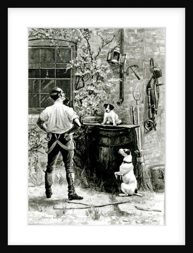 The Survival of the Fittest by Stanley Berkeley