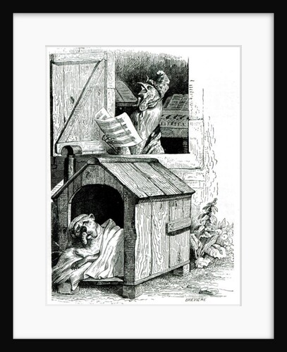 Dog sleeping and cockerel singing, from J. Thomson's 'Public and Private Life of Animals' by English School