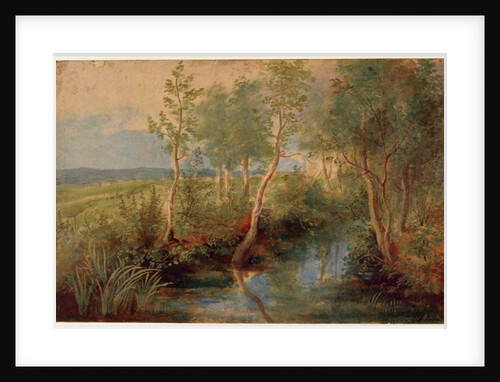 Landscape by Peter Paul Rubens