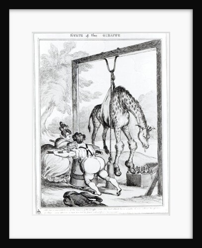 State of the Giraffe, 1829 by William Heath