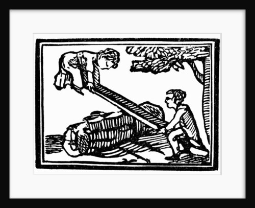 Seesaw by School English