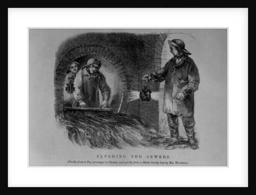 Flushing the Sewers by School English