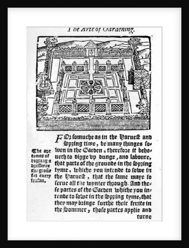 Elizabethan garden by Thomas Hill