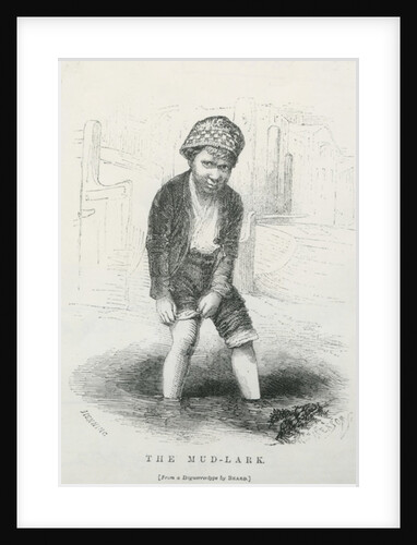 The mud-lark, 1861 by English School