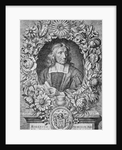 Robert Morison, 1680 by Robert White