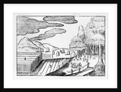 Fruits of the Earth, 1658 by John Amos Comenius