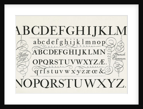 Specimen typefaces by Anonymous