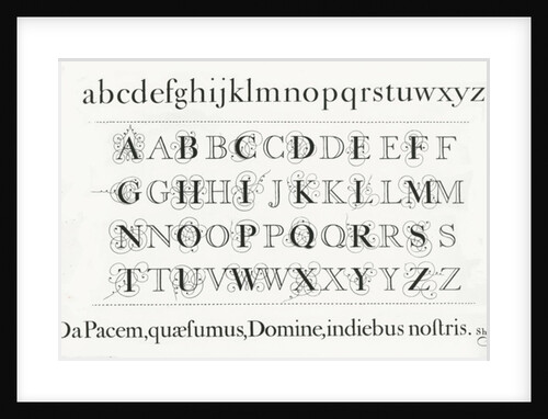 Specimen typefaces by Anonymous