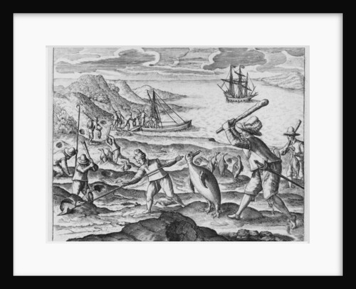Penguin hunting, 1598 by Dutch School