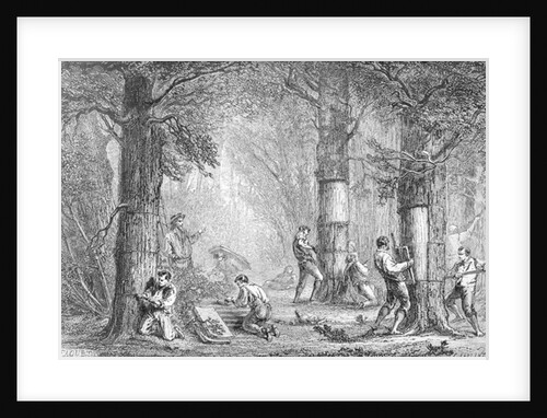 Bark engraved by Charles Laplante by A. Faguet