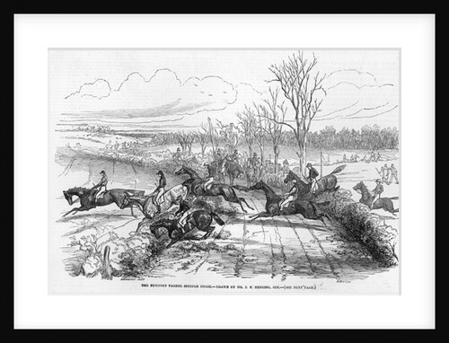The Newport Pagnel Steeple Chase by John Frederick Herring Snr