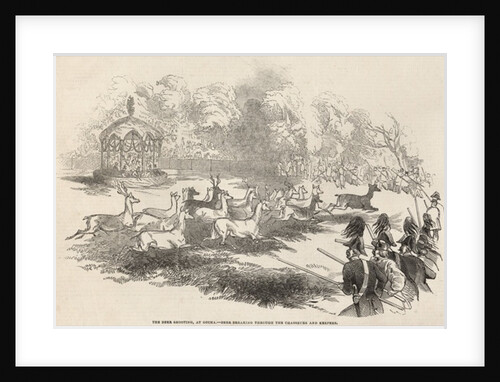 The Deer Shooting at Gotha: Deer breaking through the Chasseurs and Keepers by English School