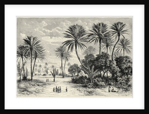 Oasis of Gafsa: Tunis by Charles Barbant