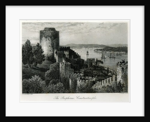 The Bosphorus, Constantinople by John Douglas Woodward
