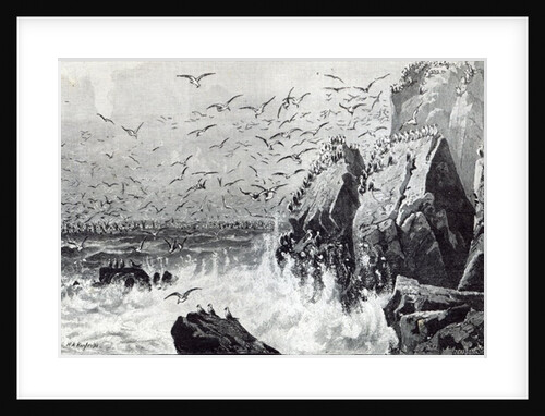 The Haunt of the Gulls by English School