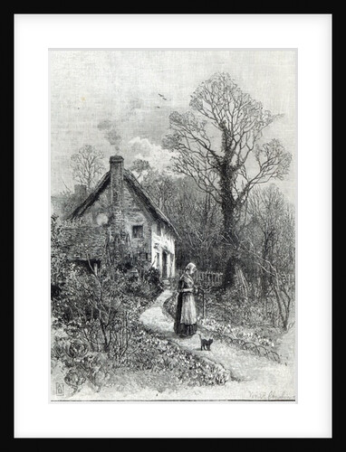 First Flowers by English School