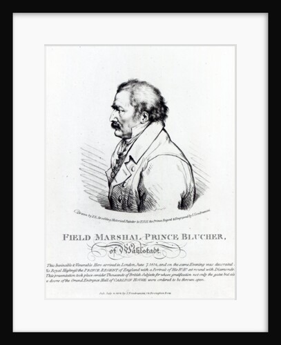 Field Marshal Prince Blucher of Wahlstadt, engraved by J. Vendramini, 1814 by Peter Eduard (after) Stroehling