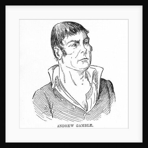 Andrew Gamble by English School