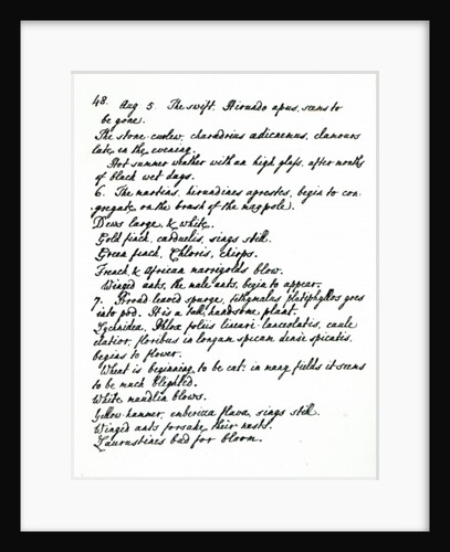 A page from the diary of Rev. James Woodforde by English School