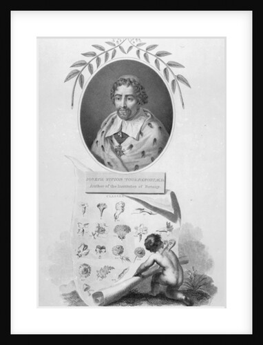 Joseph Pitton de Tournefort by English School