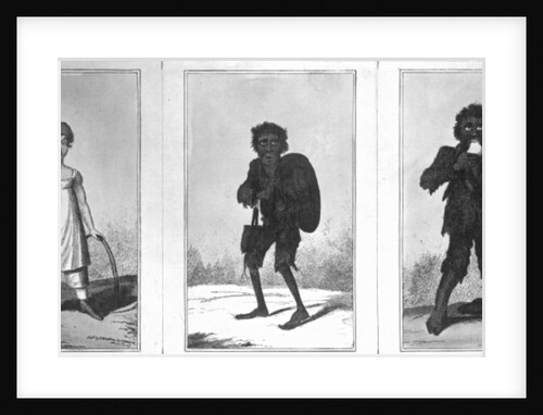 Pretty Bob, Poor Bob, Bandy Bob, 1819 by George Cruikshank