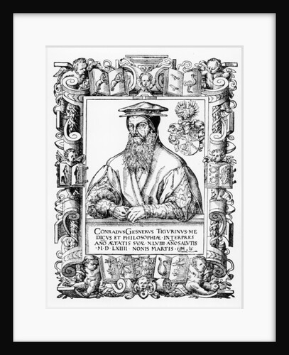 Conrad Gesner by Swiss School