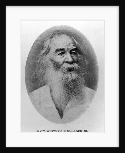 Walt Whitman, photographed in 1889 by American Photographer